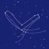 Space Craft International