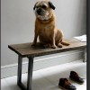 Quirky Interiors