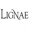 Lignae